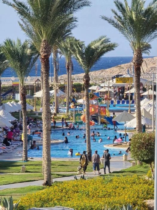 بورتو مطروح - الساحره