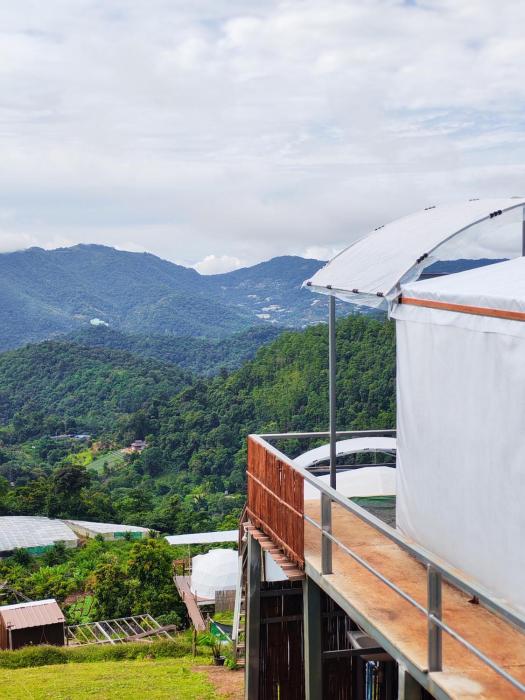 ชูชัยฟาร์มสเตย์ ม่อนแจ่ม