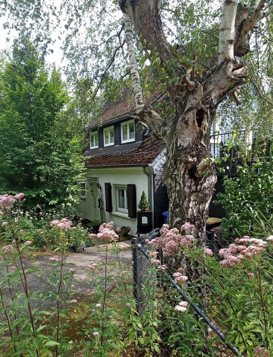 Ferienhaus Fuchs&Hase