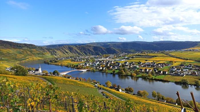 Ferienwohnung mit Blick auf die Moselloreley
