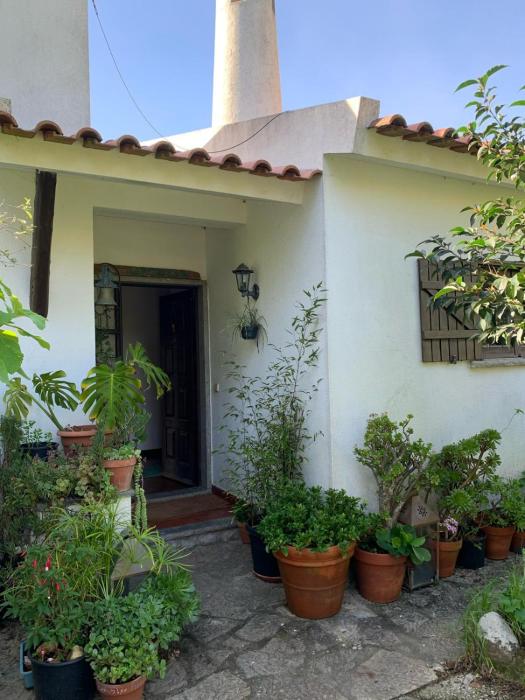Regenerative Living Cascais