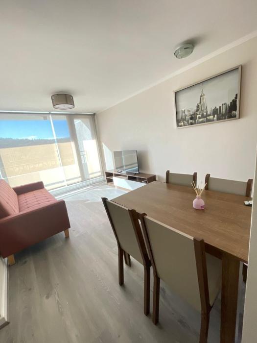 Hermoso departamento nuevo en Concepción 3