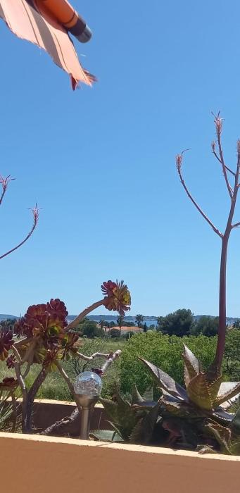 Entre mer azur et collines boisées
