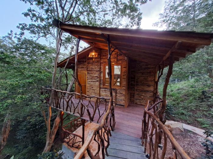 Ana Lucia-Casa del arbol