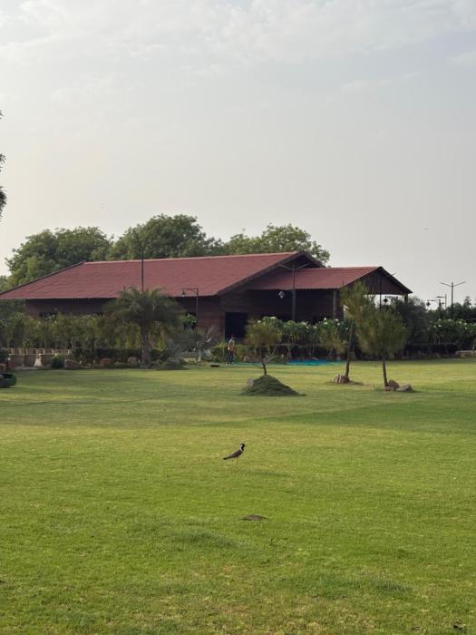 Greenwood Farm And Lawn -Bijwasan I Near Delhi Airport I 87oo2o5865