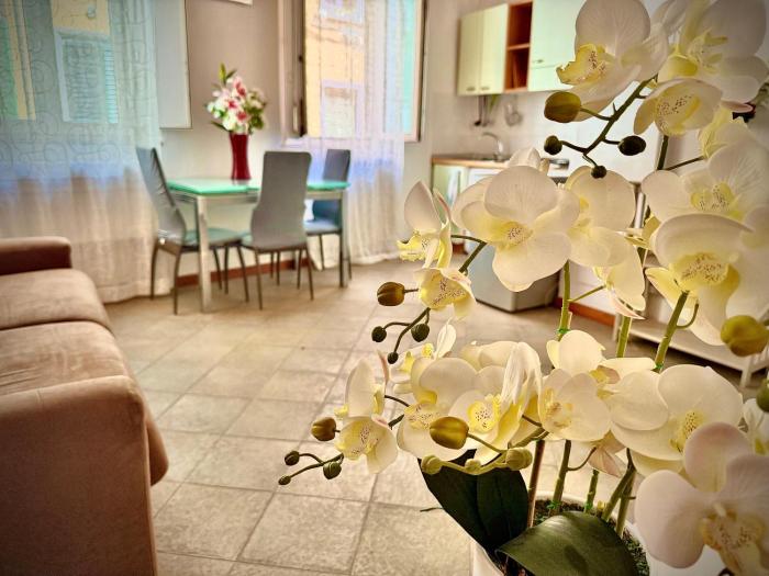 Santo Spirito Oltrearno central cozy flat