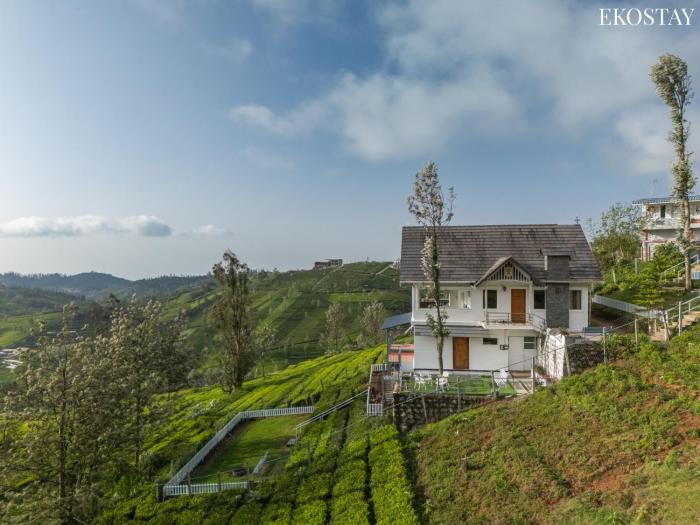 EKO STAY - Woodside Ivy