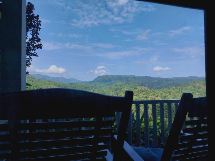 Rainforest Nature House