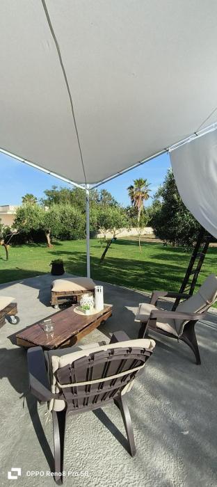 La corte degli ulivi