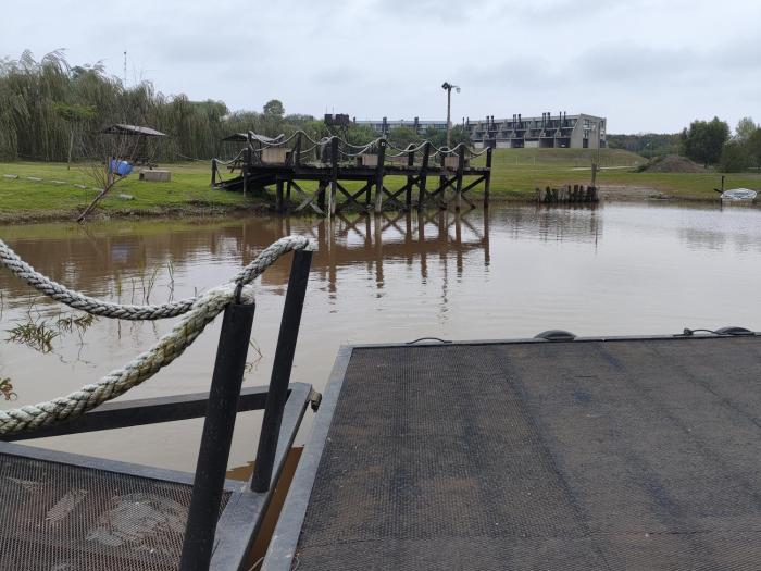 amanecer de RIO y pesca