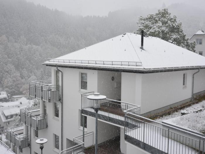 Apartment in Willingen mit Balkon