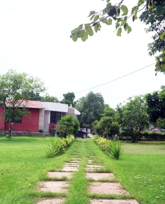 Cheers and Company Farms