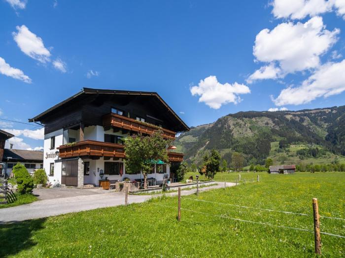 Contemporary Apartment in Maishofen near Ski Area
