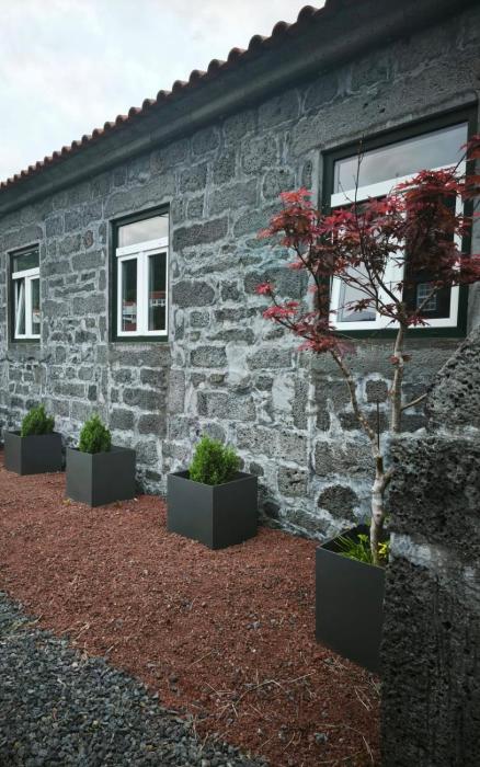 Cá Por Casa Pico-Criptoméria