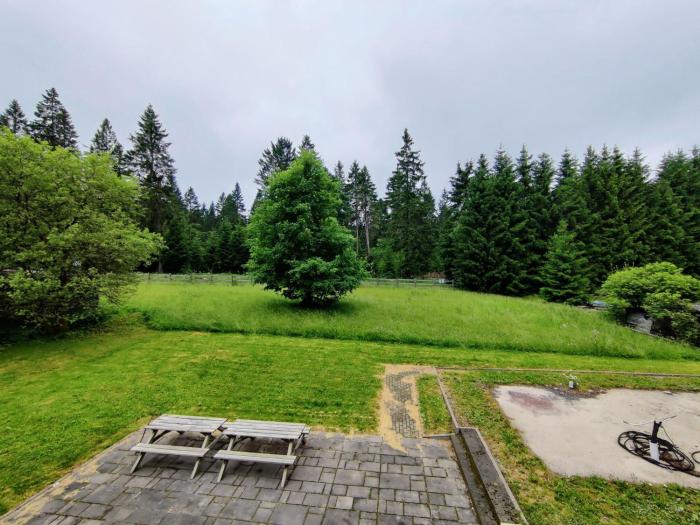 Spacious semi-detached house with wood stove located directly on the Rennsteig