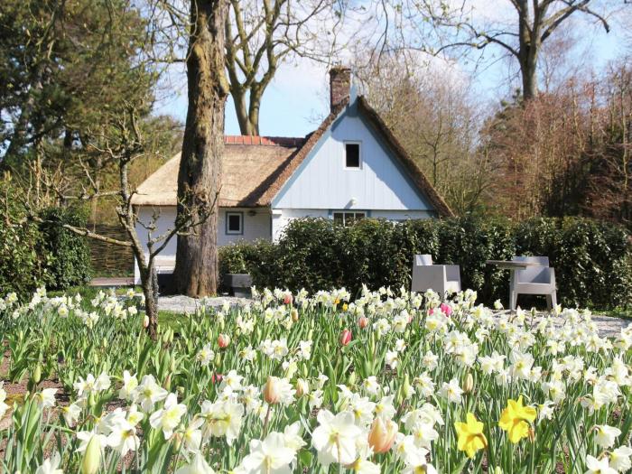 Holiday Home in Bergen near the Beach