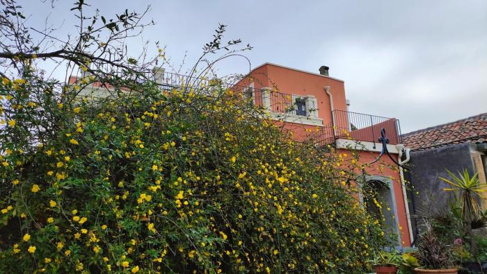 Tenuta Arcidiacono - Etna, Wine, Country & Relax