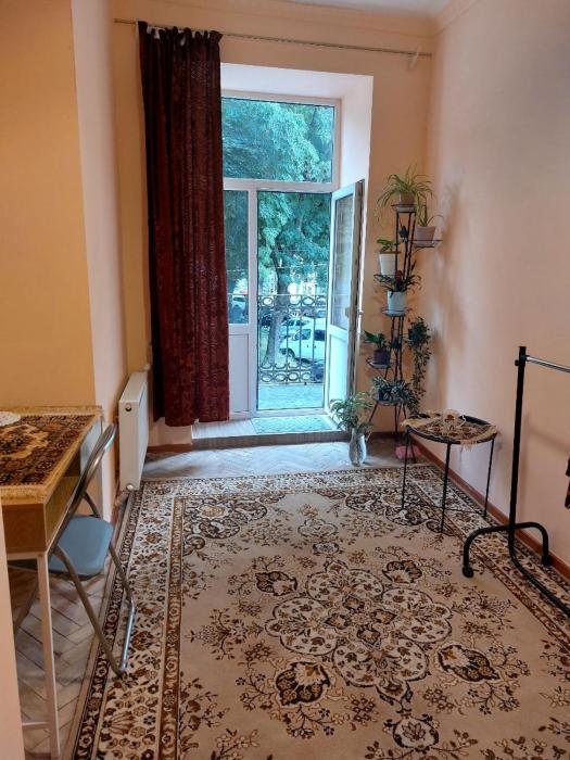 Zentral Apartments Vesela Square