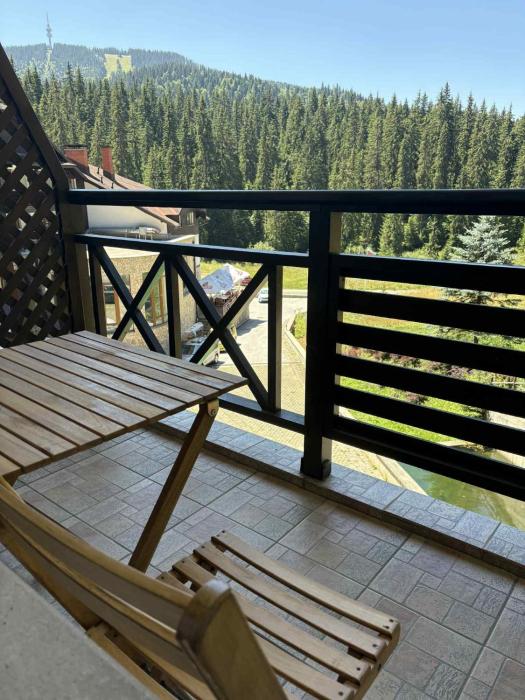 Pine forest apartments