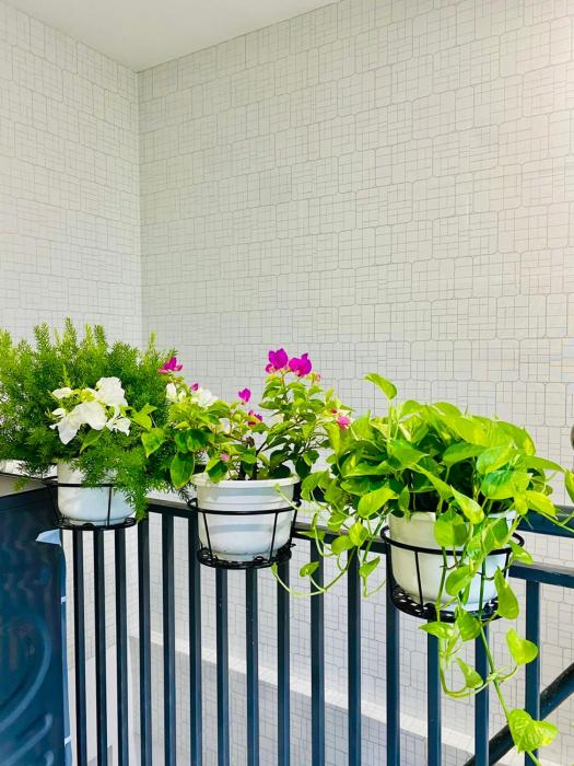 Solara Homestay Da Nang