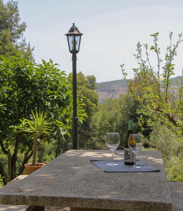 Refugio verde con encanto