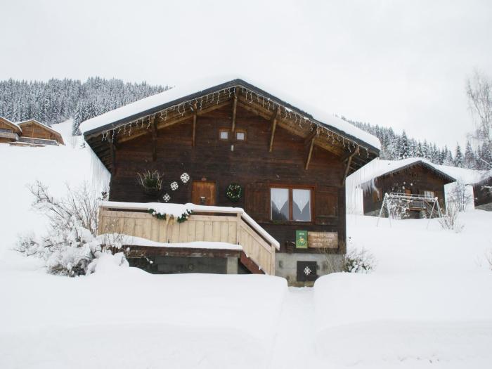 Chalet in Notre-Dame near Ski Lift