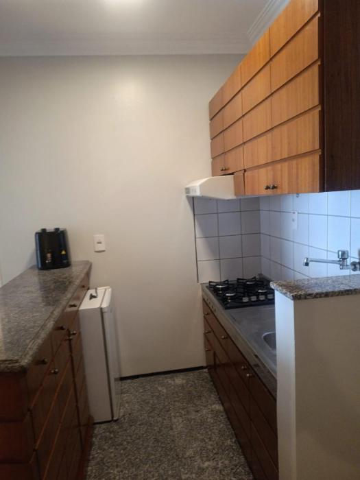 Tulip in flat SAN martain