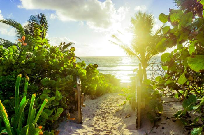 All Inclusive beachfront Villa in Tulum beach