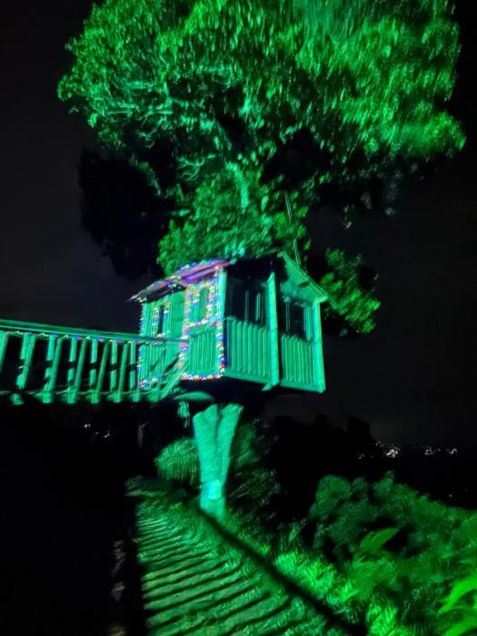 Luxury tree house at La meseta