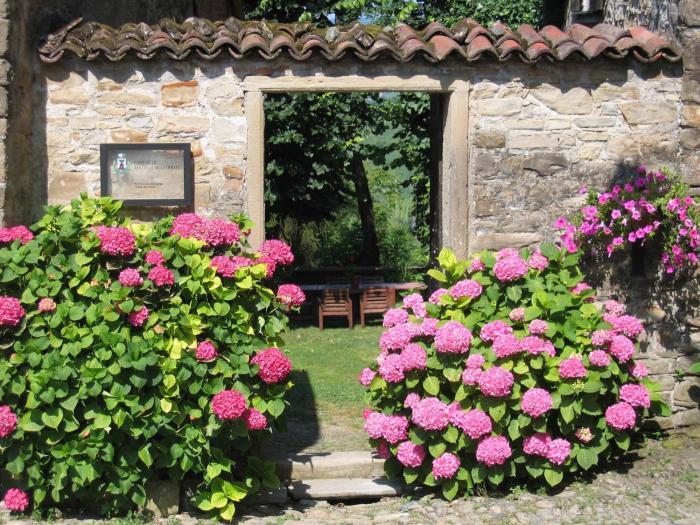 Guest house Gentile in Tagliolo Monferrato