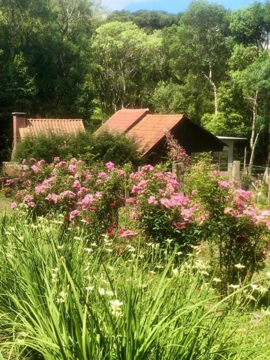 Chalé com Vista para Vinhedo e Natureza