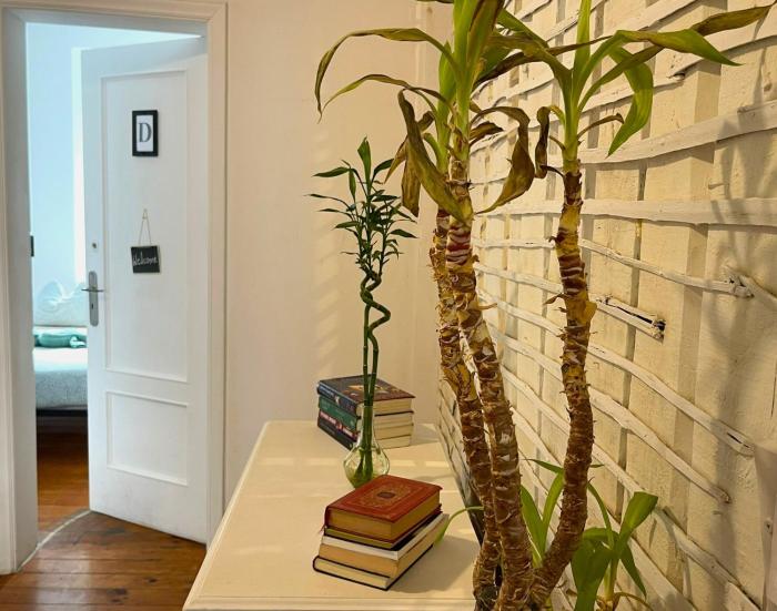 Central Lisbon Rooms in Palmira Shared Apartment For Surf Lovers