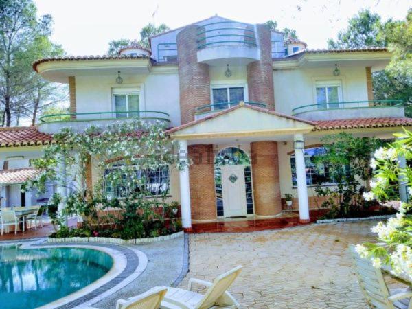 Luxury villa with swimming pool in the forest