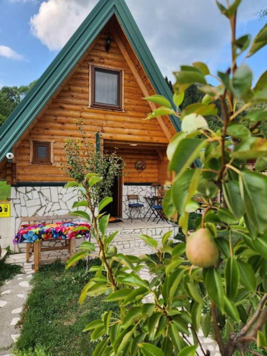 Princess Jana Apartments