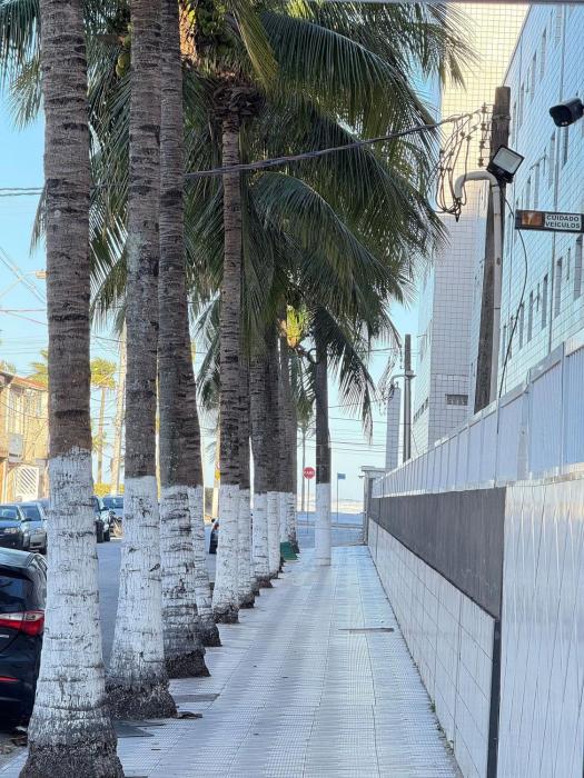 Pé na Areia Praia da Mirim