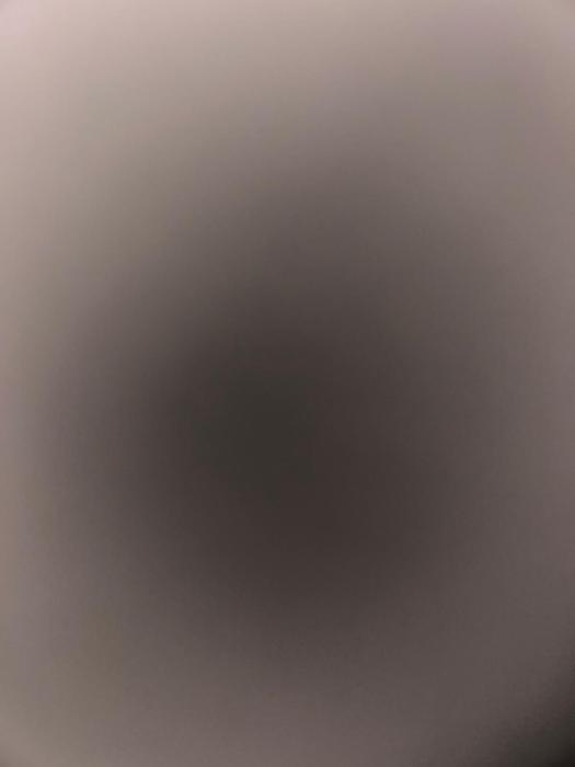 Quiet & Cozy Flat - 1BR & Kitchen - Close to Everything