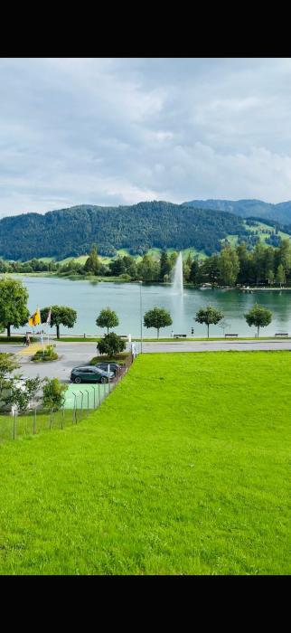 1 room apartment in Canton Zug