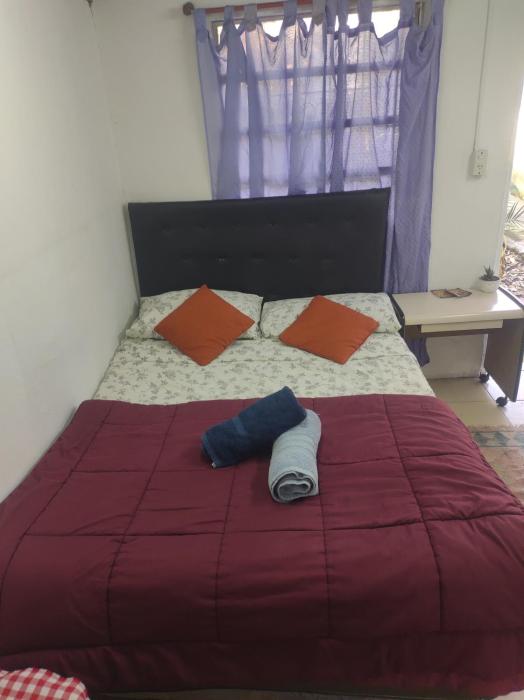 Amanecer Campestre bajo el Ceibo