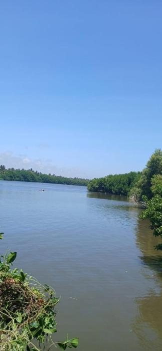 Lotus Vibe Resort