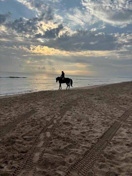 MET Oliva Nova Playa chalet grande con jardín MET a 5 minutos y a 3 de la playa