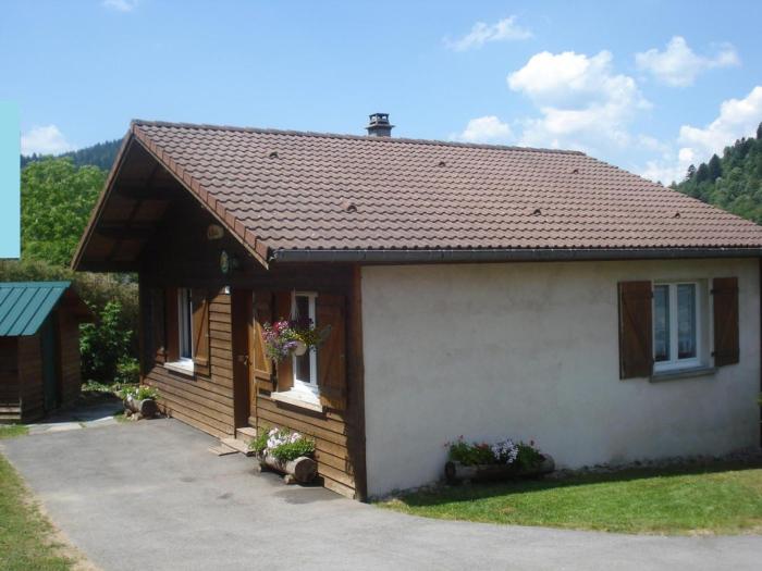 Chalet confortable avec cheminée proche de La Bresse-Hohneck, idéal pour famille et amis. - FR-1-589-123