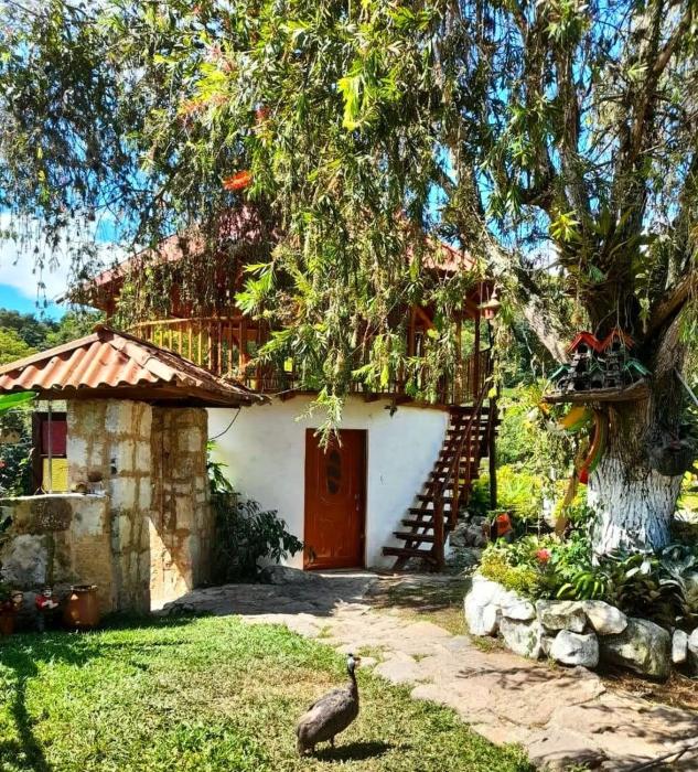 Cabaña Orquidea Campestre