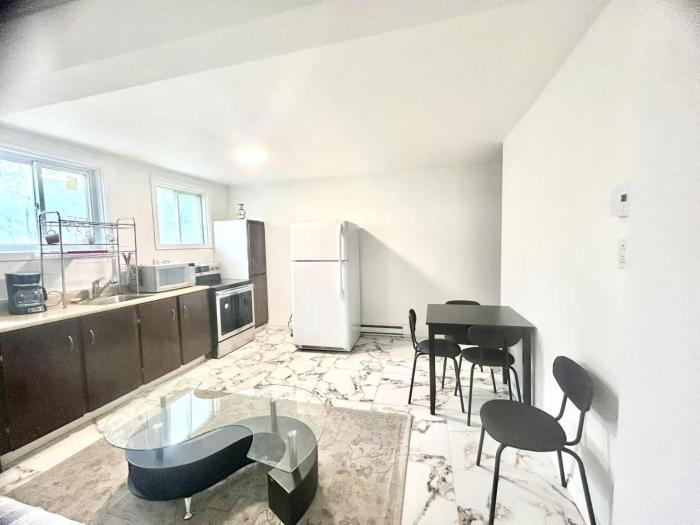 Downtown 2B Basement Unit