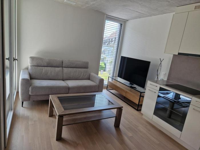 Zürich apartment, 38 sqm