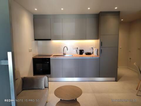 Dimitriss & Evangelias Loft Homes with Garden, Near Airport & Town