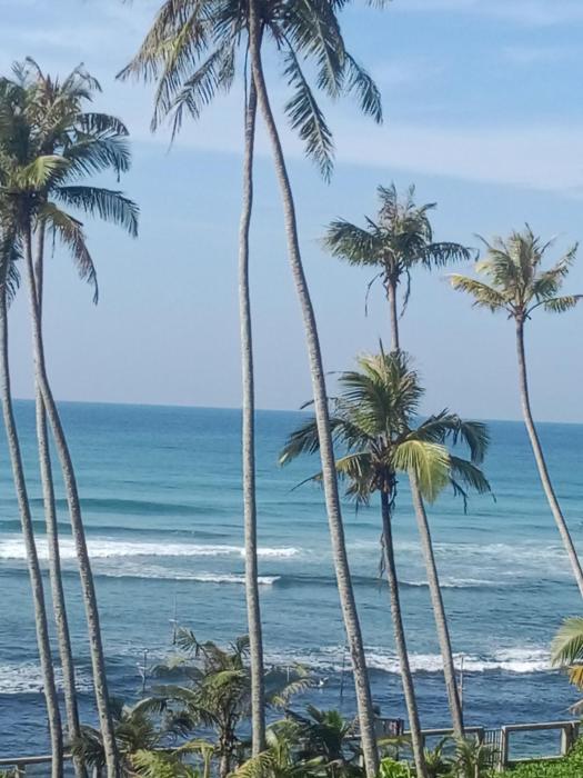 ABR Ahangama Beach Resort