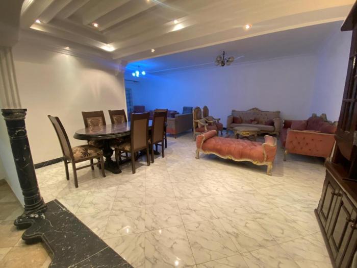 Lux Appartment Maadi Nile