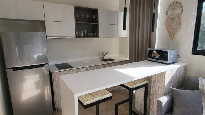 Perfect studio light and nature in Aldea Zama