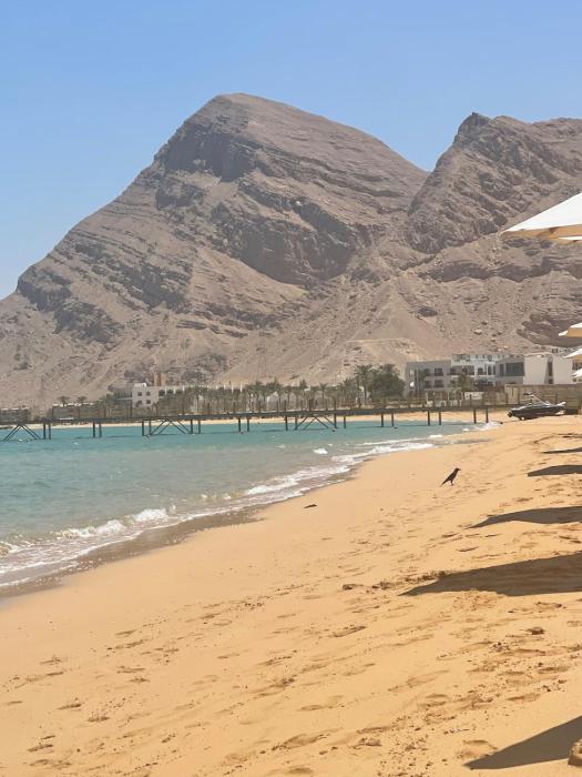 Ground peaceful chalet 3 bedroom with 6 king bed & 2 bathrooms &private garden marvelous land escape Murano resort Ain sokhna