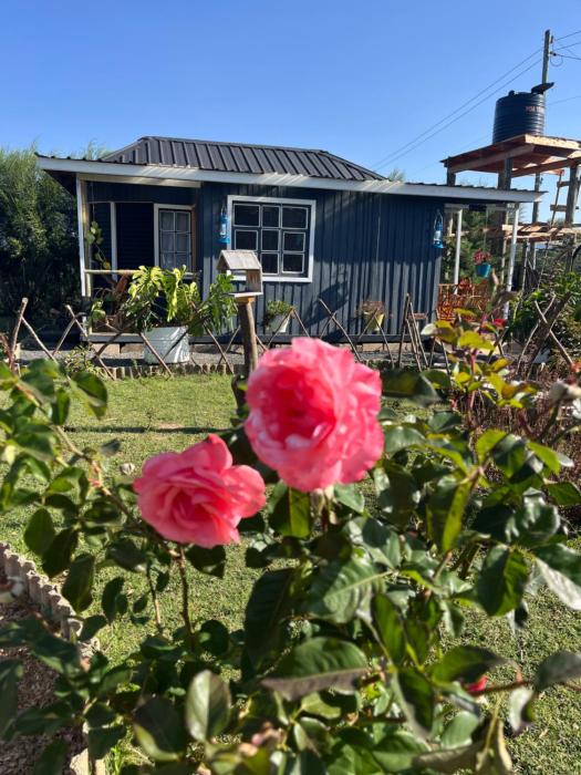 Citronella Mountain Cottage Nanyuki